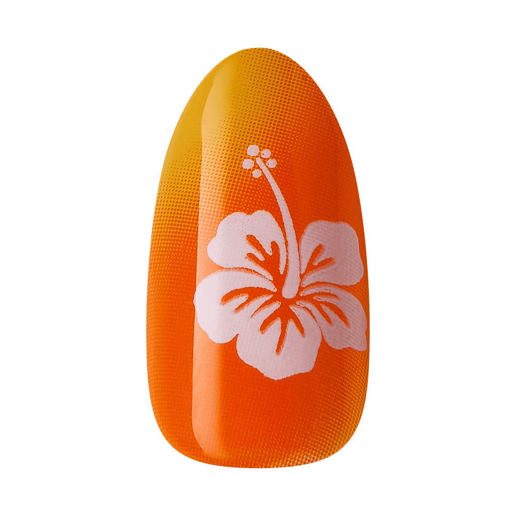 imPRESS Design Press On Nails - Splashy