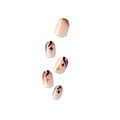 imPRESS Design Press On Nails - Cappuccino  Swirls